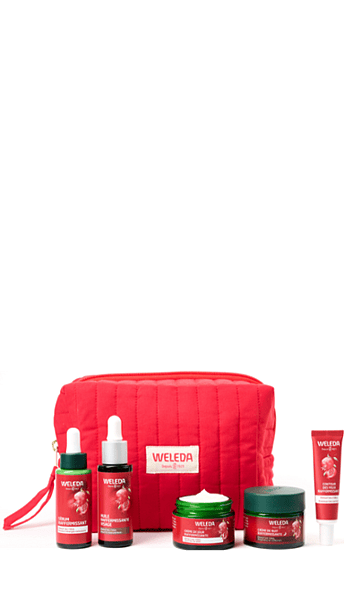 Trousse routine complète Anti-âge Grenade & Peptides de Maca